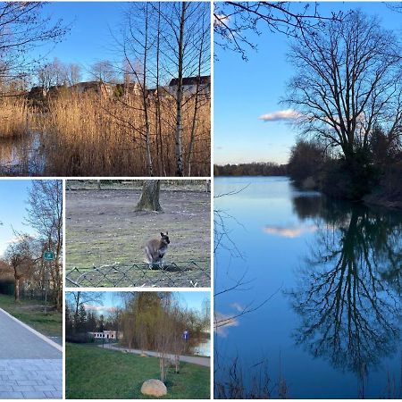 Ferienwohnung Am Jahnteich Weisswasser Buitenkant foto