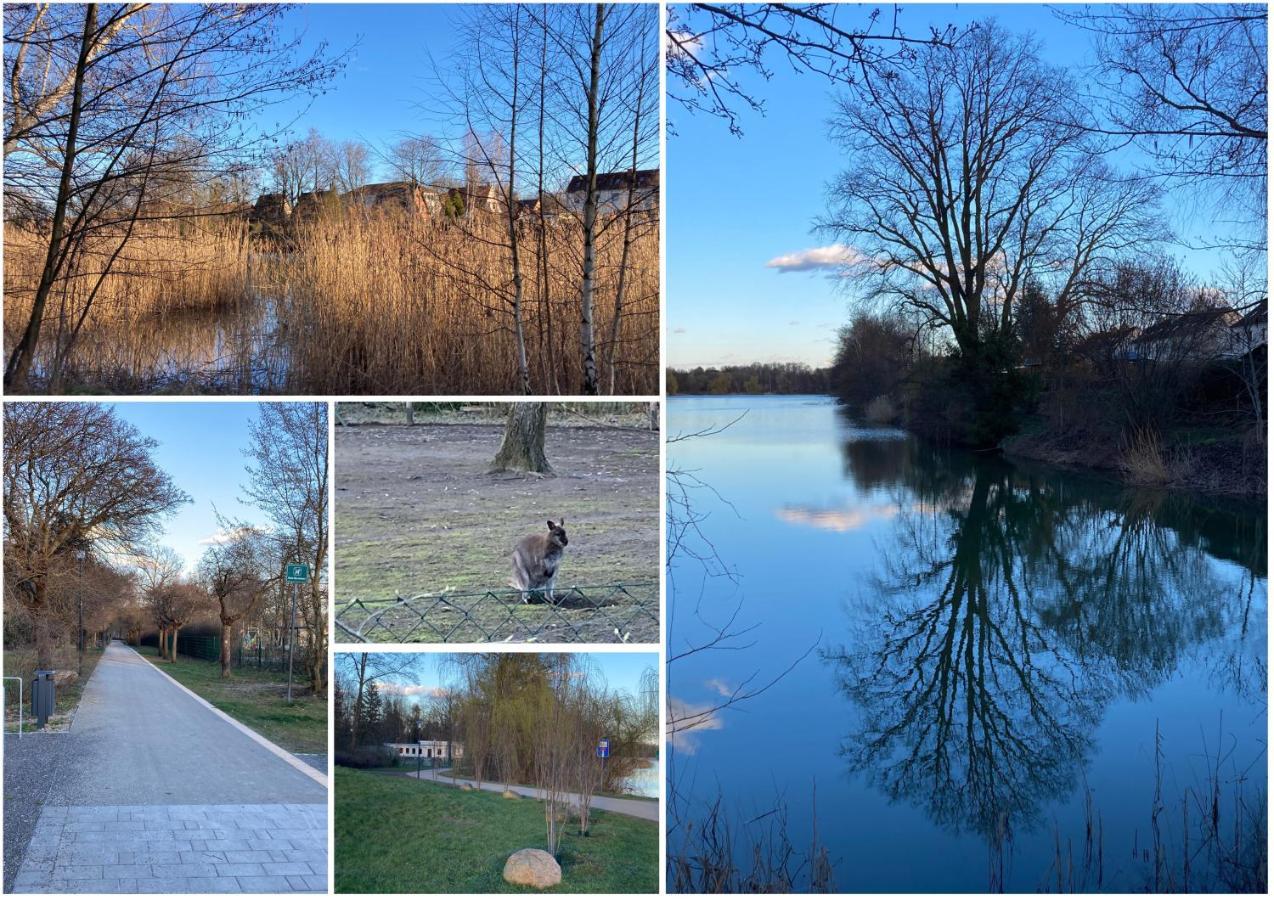 Ferienwohnung Am Jahnteich Weisswasser Buitenkant foto